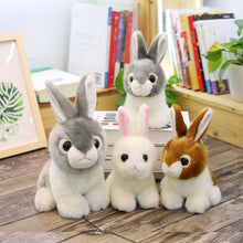 Load image into Gallery viewer, Rabbit Plush Toy