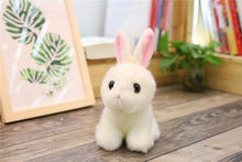 Load image into Gallery viewer, Rabbit Plush Toy